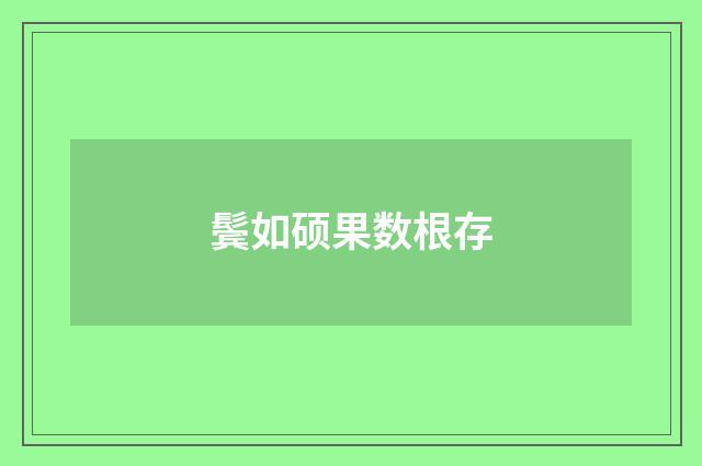 鬓如硕果数根存