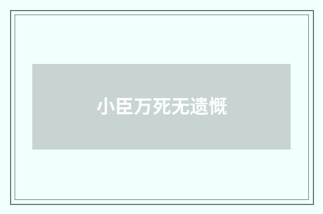 小臣万死无遗慨