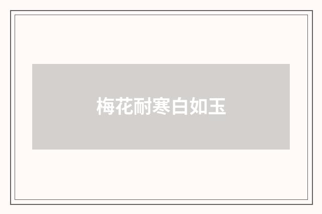 梅花耐寒白如玉