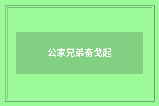 公家兄弟奋戈起