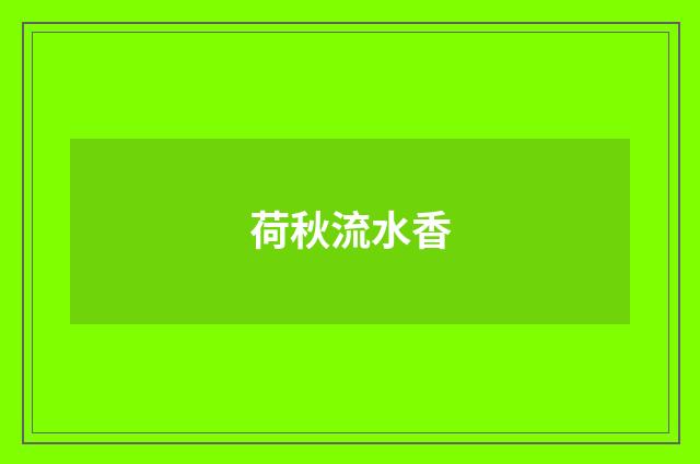 荷秋流水香