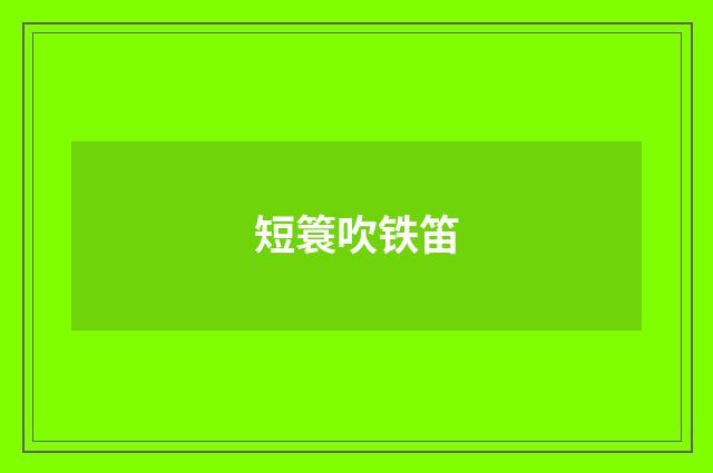短簑吹铁笛