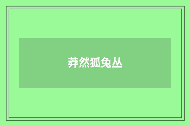 莽然狐兔丛