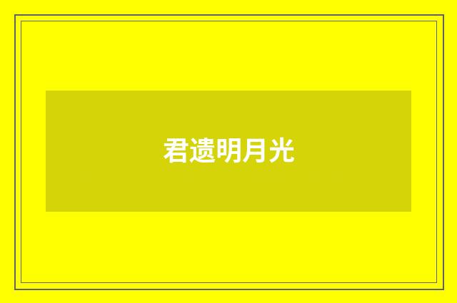 君遗明月光