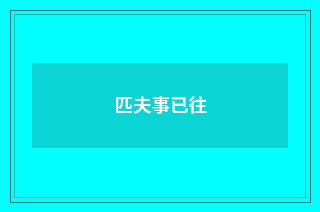匹夫事已往