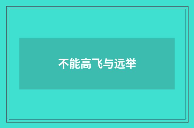 不能高飞与远举