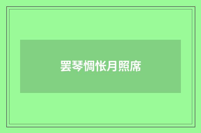 罢琴惆怅月照席