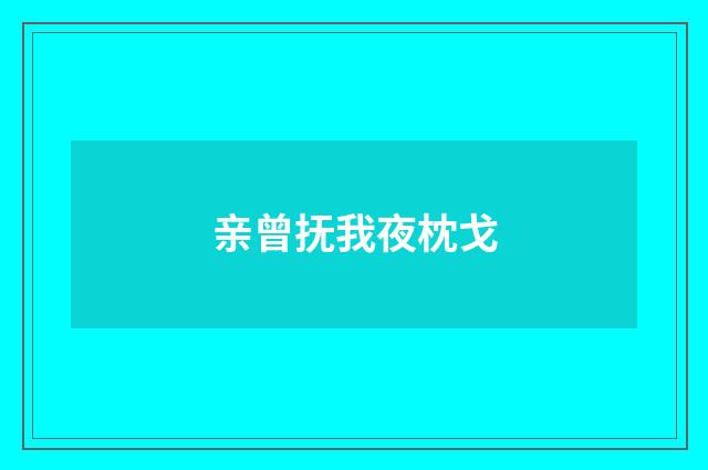 亲曾抚我夜枕戈