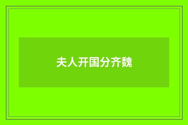 夫人开国分齐魏