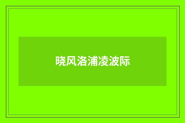 晓风洛浦凌波际