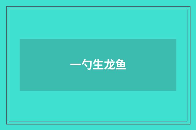 一勺生龙鱼