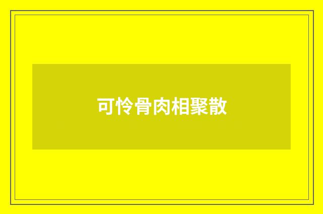 可怜骨肉相聚散