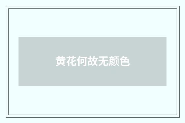 黄花何故无颜色