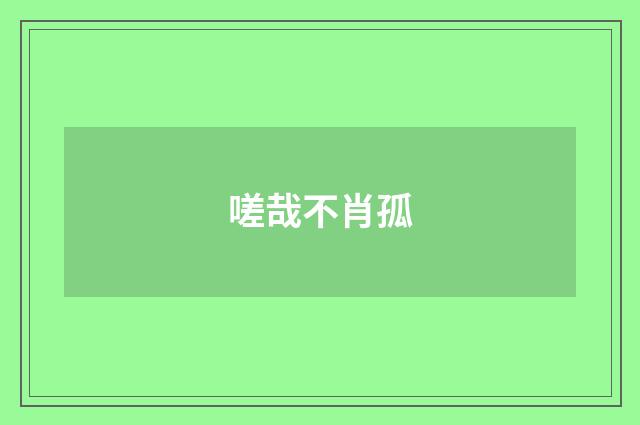 嗟哉不肖孤