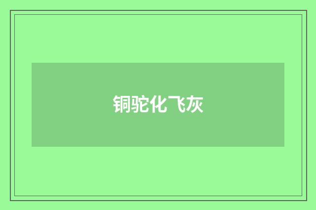 铜驼化飞灰