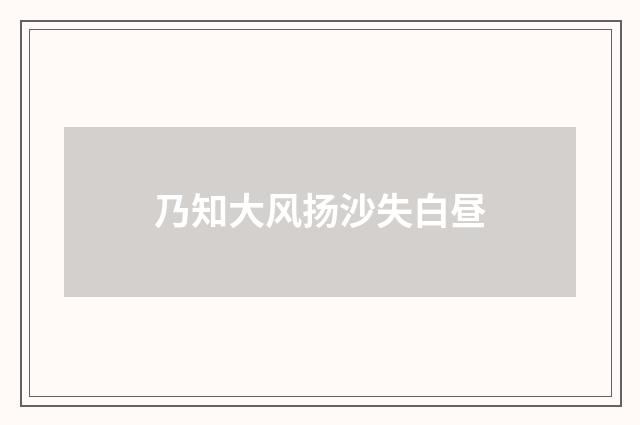 乃知大风扬沙失白昼