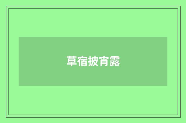 草宿披宵露