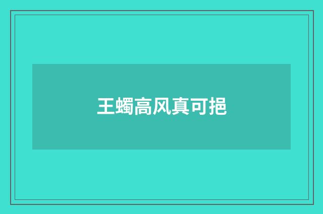 王蠋高风真可挹