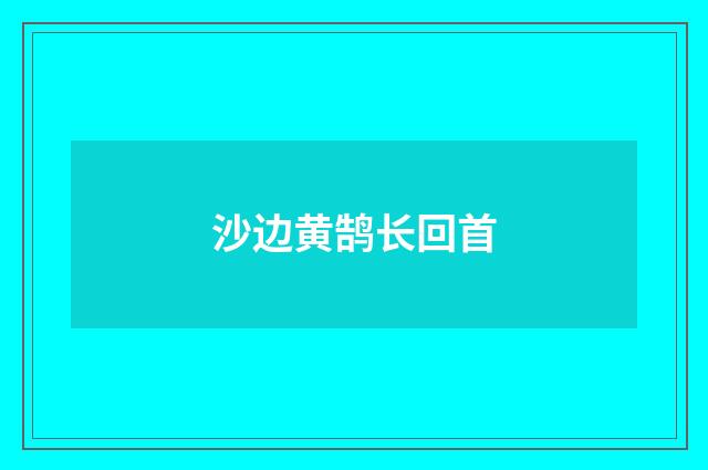沙边黄鹄长回首