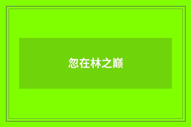 忽在林之巅