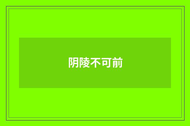 阴陵不可前