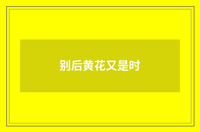 别后黄花又是时