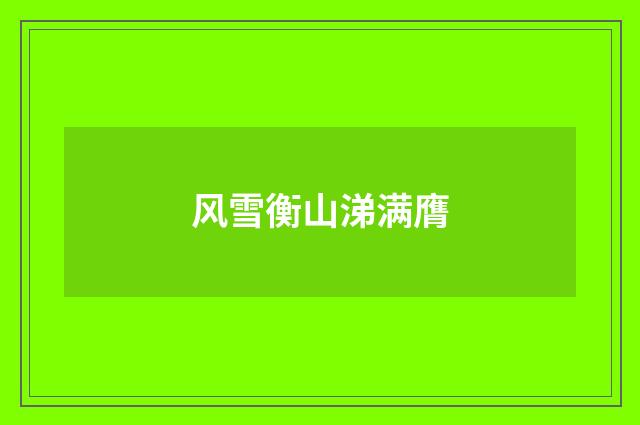 风雪衡山涕满膺