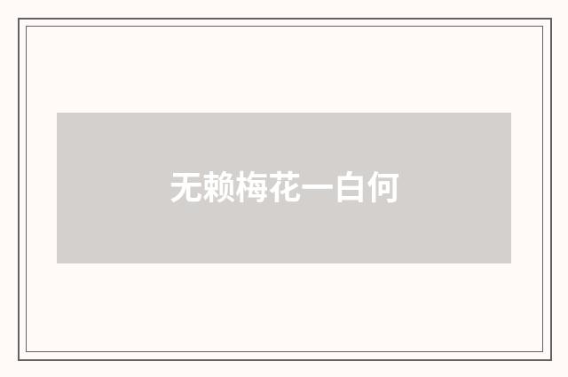 无赖梅花一白何