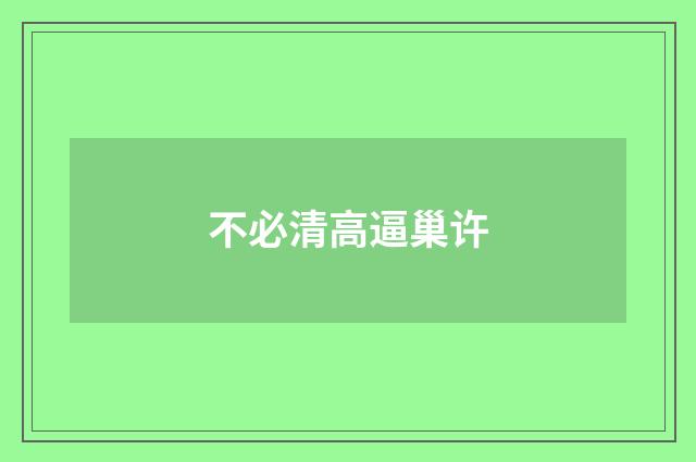 不必清高逼巢许