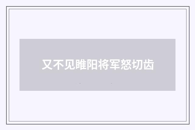 又不见睢阳将军怒切齿