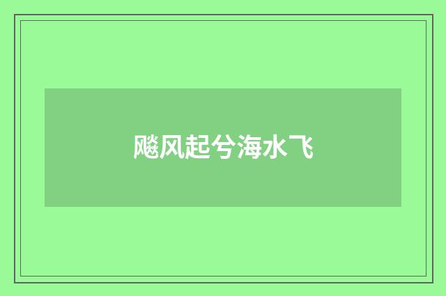 飚风起兮海水飞