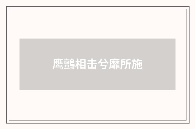 鹰鸇相击兮靡所施