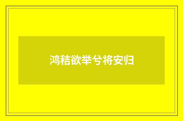 鸿秸欲举兮将安归