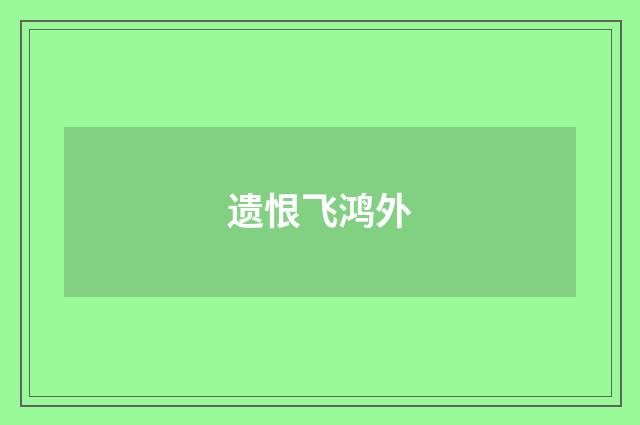 遗恨飞鸿外