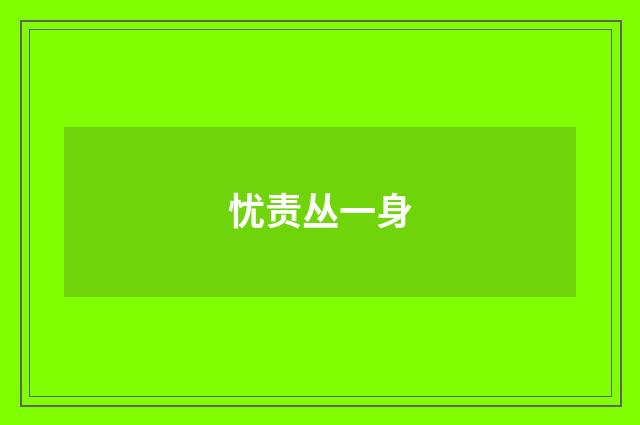忧责丛一身