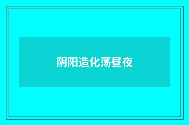 阴阳造化荡昼夜