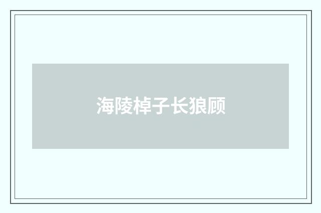 海陵棹子长狼顾