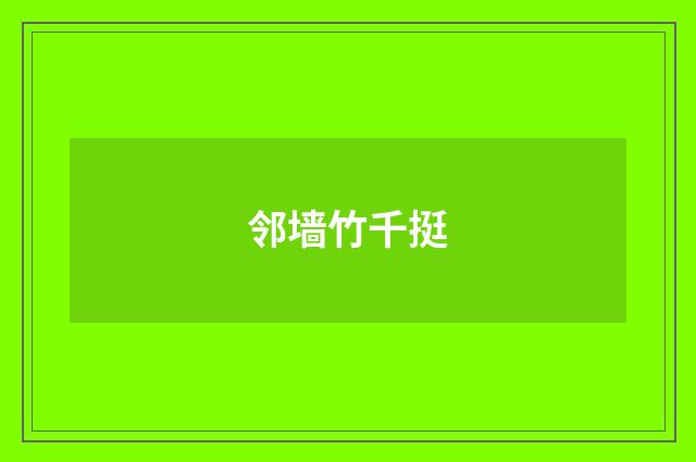 邻墙竹千挺