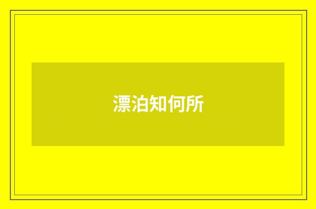 漂泊知何所
