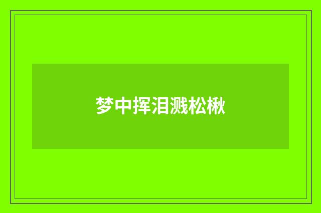 梦中挥泪溅松楸