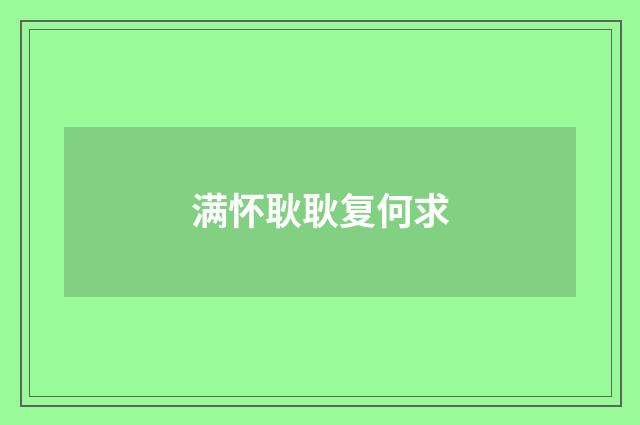 满怀耿耿复何求
