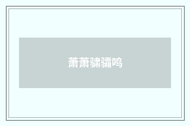 萧萧骕骦鸣