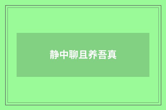 静中聊且养吾真