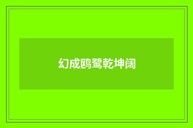 幻成鸥鹭乾坤阔