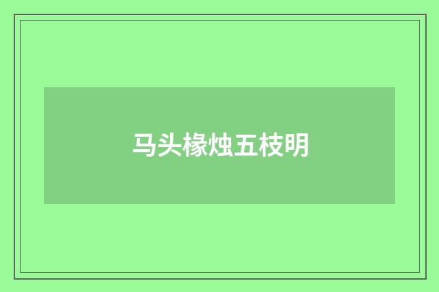 马头椽烛五枝明