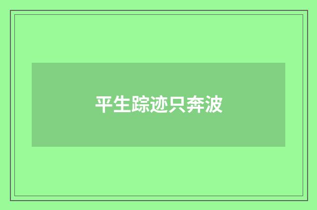 平生踪迹只奔波