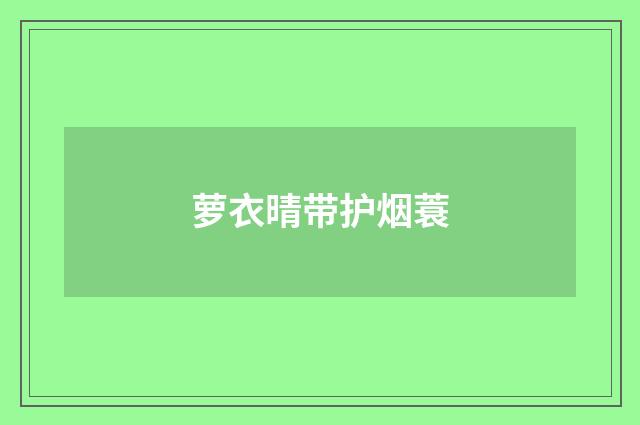 萝衣晴带护烟蓑