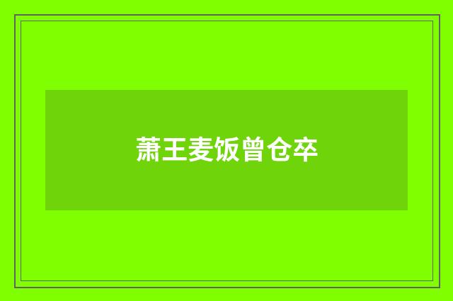 萧王麦饭曾仓卒
