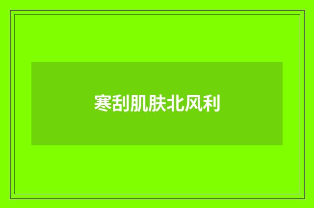 寒刮肌肤北风利