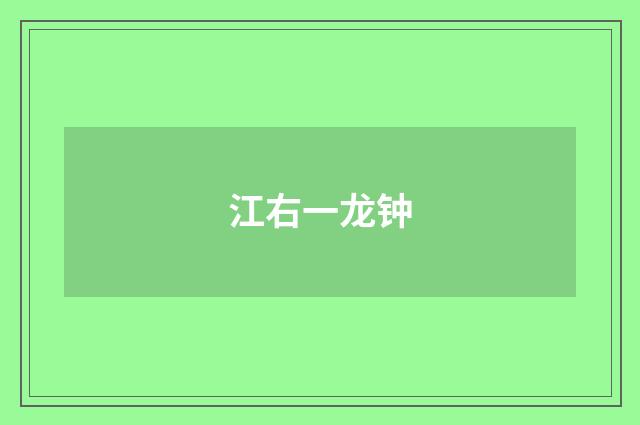 江右一龙钟